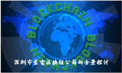 深圳市豪宅区块链公司的全景探讨
