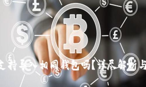 Tokenim支持导入相同钱包吗？详尽解析与实用指南