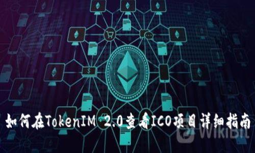 如何在TokenIM 2.0查看ICO项目详细指南