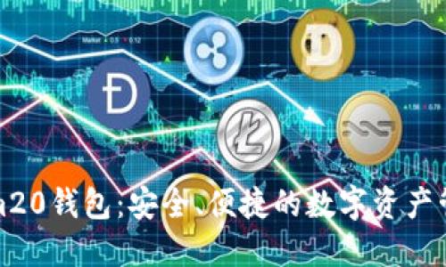 Tokenim20钱包：安全、便捷的数字资产管理工具