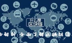 区块链清算股份解析：全面了解区块链清算的概