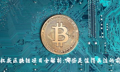 2023年权威区块链项目全解析：哪些是值得关注的前沿平台？