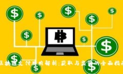 区块链支付牌照解析：获取与监管的全面指南