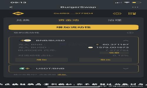 最大区块链骗局案例揭秘：你不能错过的教训与启示