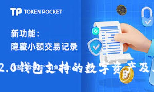 TokenIM 2.0钱包支持的数字资产及其功能详解