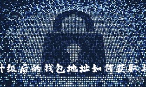 Tokenim升级后的钱包地址如何获取与使用指南