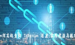 如何高效查询 Tokenim 进度：实用方法与技巧