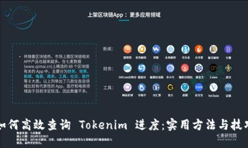 如何高效查询 Tokenim 进度：实用方法与技巧