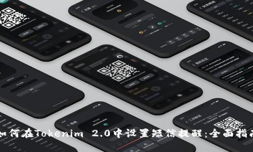 如何在Tokenim 2.0中设置短信提醒：全面指南