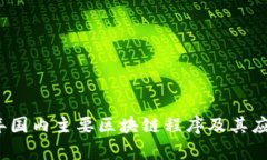 2023年国内主要区块链程序及其应用分析