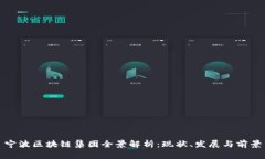 宁波区块链集团全景解析：现状、发展与前景