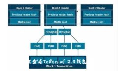 如何查看Tokenim 2.0钱包密钥
