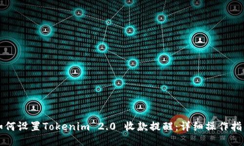 如何设置Tokenim 2.0 收款提醒：详细操作指南