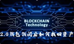 Tokenim 2.0钱包倒闭后如何找回资产？详细指南
