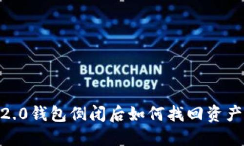Tokenim 2.0钱包倒闭后如何找回资产？详细指南