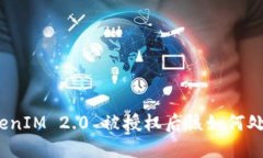 TokenIM 2.0 被授权后该如何处理？