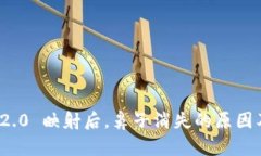 TokenIm 2.0 映射后，鼻子消失的原因及解决方案