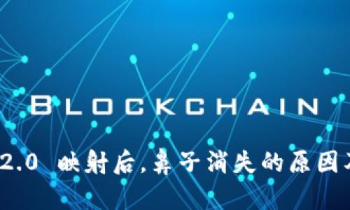 TokenIm 2.0 映射后，鼻子消失的原因及解决方案