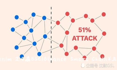 如何调整Tokenim 2.0在BSC（Binance Smart Chain）上的配置与应用