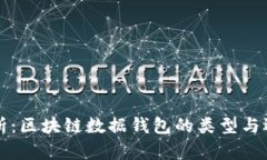 全面解析：区块链数据钱包的类型与选择指南