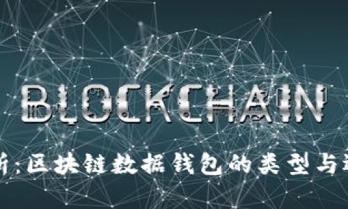 全面解析：区块链数据钱包的类型与选择指南