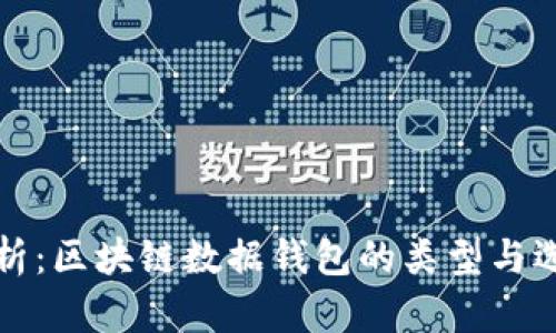 全面解析：区块链数据钱包的类型与选择指南