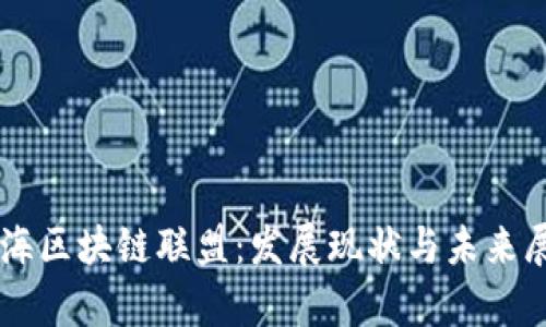 青海区块链联盟：发展现状与未来展望