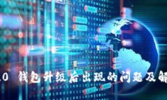 Tokenim 2.0 钱包升级后出现的问题及解决方案详解